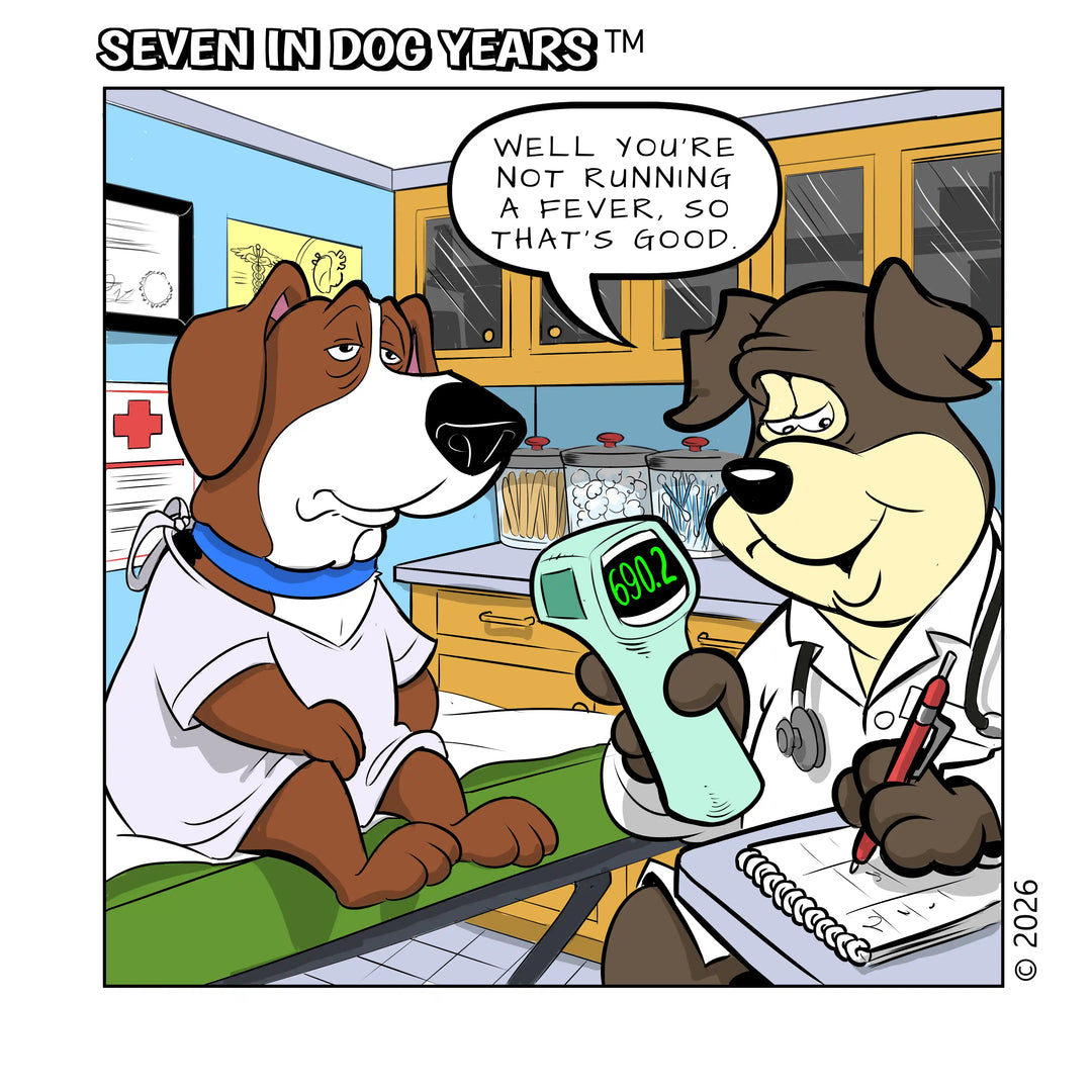 Doctor&